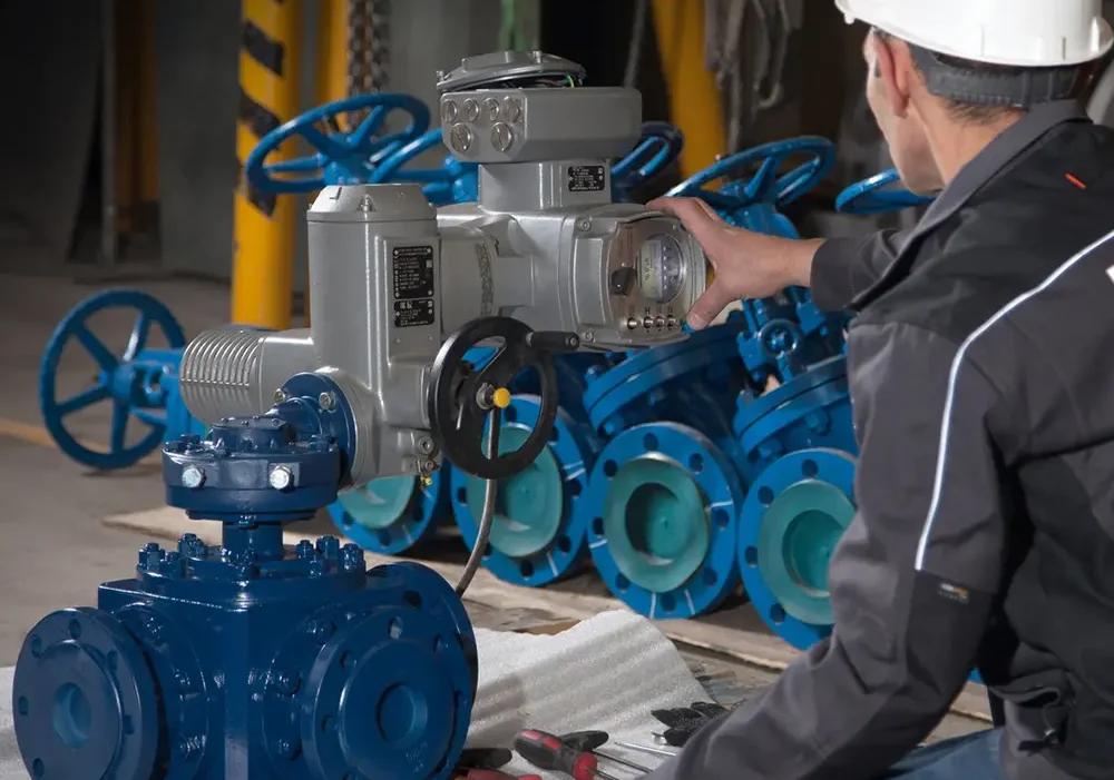 2sub6z25khep2u6m1so8jvp3g6ujfn8p